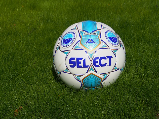 参数进行优 参数进行优