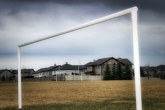 快船的新机 快船的新机