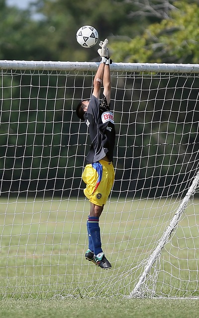 的重要环节 的重要环节