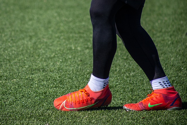 的综合结果 的综合结果