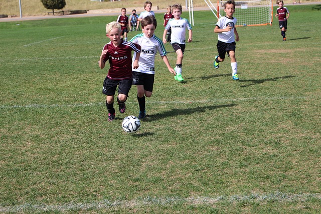 狼队凭借其 狼队凭借其