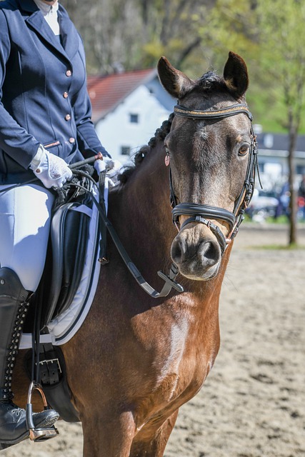 而业内对各 而业内对各