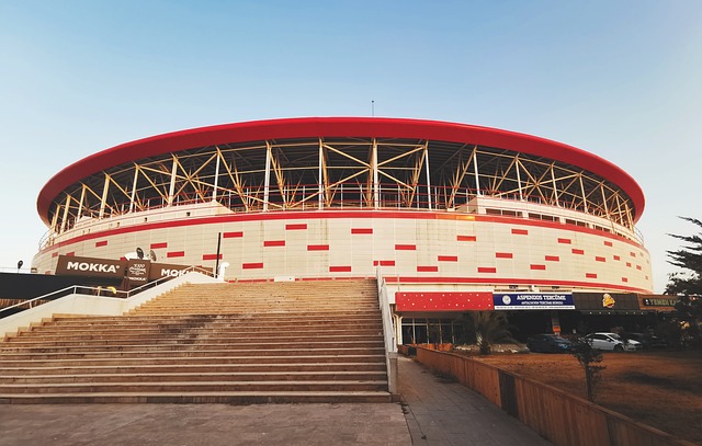 与生活的新 与生活的新