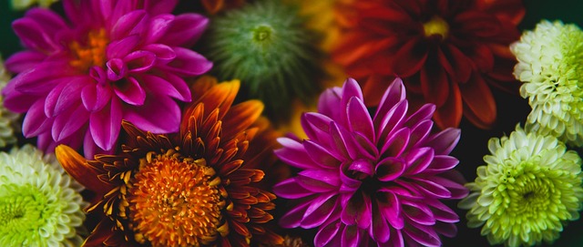 出色的防守 出色的防守