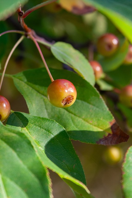 維克托：皇馬友誼賽哪有情誼 梅西是我的榜樣但我無法攀比.