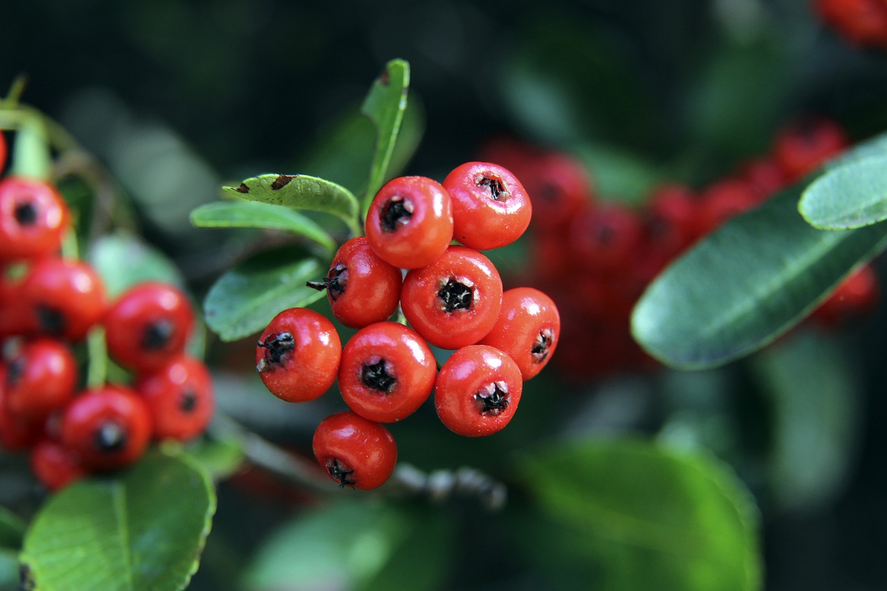 校园体育之星 ｜ 韩煦：足球小将,势不可挡.