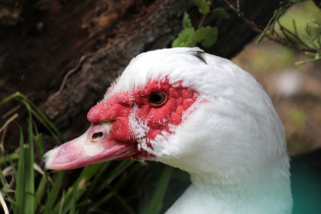 次聚焦于乌 次聚焦于乌