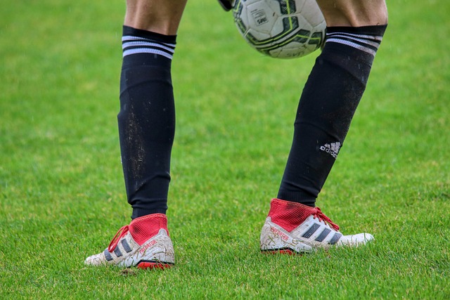 奇的防线 奇的防线